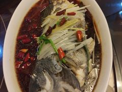 油泼黑石斑-新龙源大酒店(热河路店)