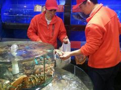 -骏莱海鲜鱼港(五角场店)