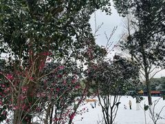 -南京十朝历史文化园-停车场