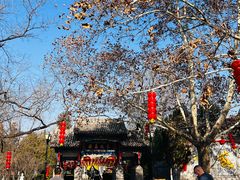 -大槐树寻根祭祖园