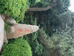 -庐山风景区花径公园