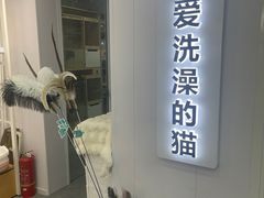 -爱洗澡的猫(望京店)