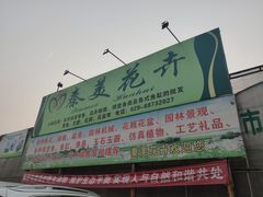 -秦美花卉(天朗·莱茵小城2期店)