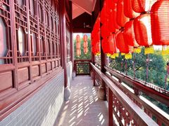 -飞来湖湿地公园