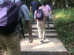 -滴水岩森林公园