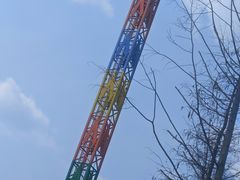-洋湖国家湿地公园