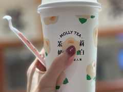 茉莉奶白-茉莉奶白