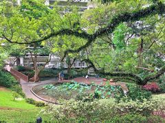 -香港大学