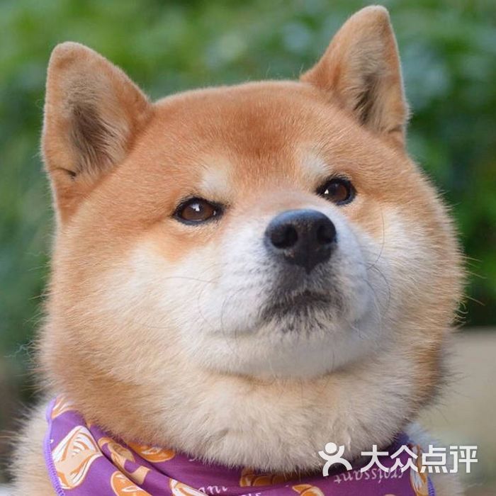 donco bakery东哥面包图片-北京面包/饮品-大众点评网