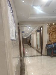 -碧莲盛·不剃发植发