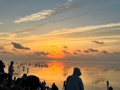 -南汇嘴观海公园