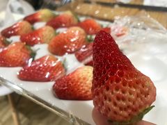 -盒马鲜生(文景博乐里购物广场店)