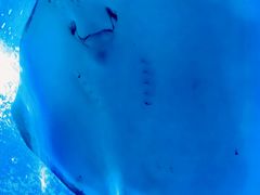 -梦幻海洋王国(吾悦广场张家港店)