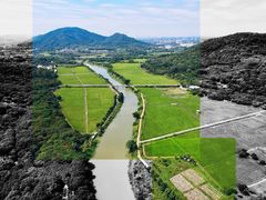 -风云岭森林公园