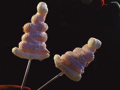 -咖啡·湖(德清店)