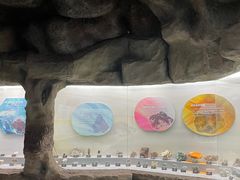 -甘肃地质博物馆