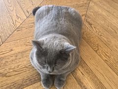 -Me Coffee下午茶艺术空间