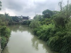 -八大山人梅湖景区
