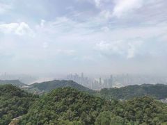 -大金鹰园