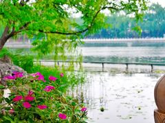 -小王府(什刹海店)