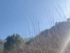 -鹿亭中村