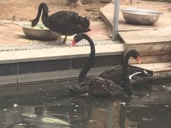 -北京园博大酒店