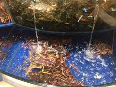 -海景壹号大酒店(滨湖店)