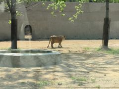 -秦皇岛野生动物园
