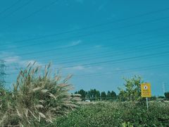 -低涌(地铁站)