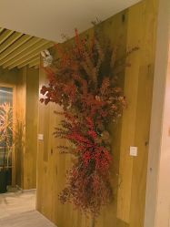-花隐瑜伽·普拉提·红绳