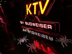 -百威KTV(恒福路店)