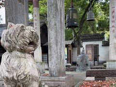 -宁波溪口古镇-民国大杂院