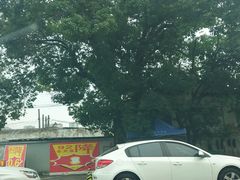 -中国石化金城加油站