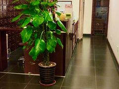 大堂-丹道颐养堂
