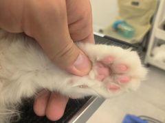 -comecome来吧宠物(奥克斯中心店)