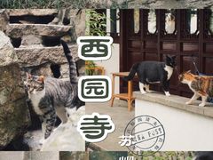 -西园寺