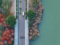 -三垟湿地
