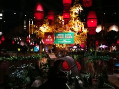 大堂-老滇山寨•云南特色菜•地方菜•民族风情歌舞表演(金碧店)