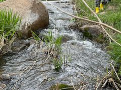 -碓臼峪自然风景区