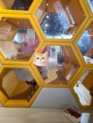 -塔塔王国·主题儿童游乐园(奥城商业广场店)