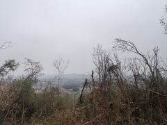-青龙山国家森林公园