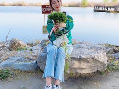 -合肥滨湖国家森林公园