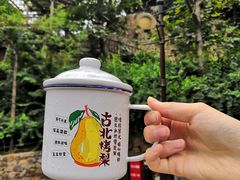 -古北烤梨