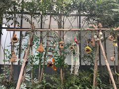 -南宫五洲植物乐园