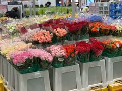 -山姆会员商店(上海浦东店)