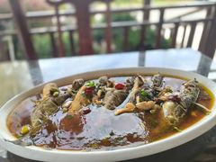 -呼吸森林·生态农庄农家乐私房菜