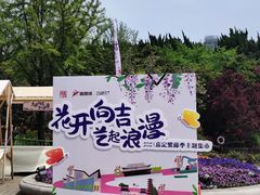 -嘉定紫藤园