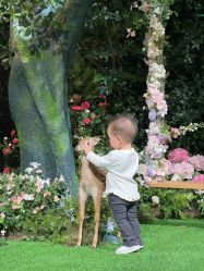 -贯日漂亮宝贝儿童摄影