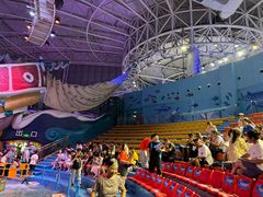 -烟台海昌鲸鲨海洋公园