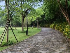 -吴淞炮台湾湿地森林公园烧烤区